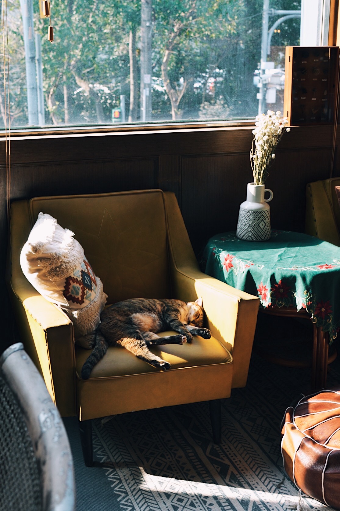 思考碎片｜孤獨的人，用思考尋找真理