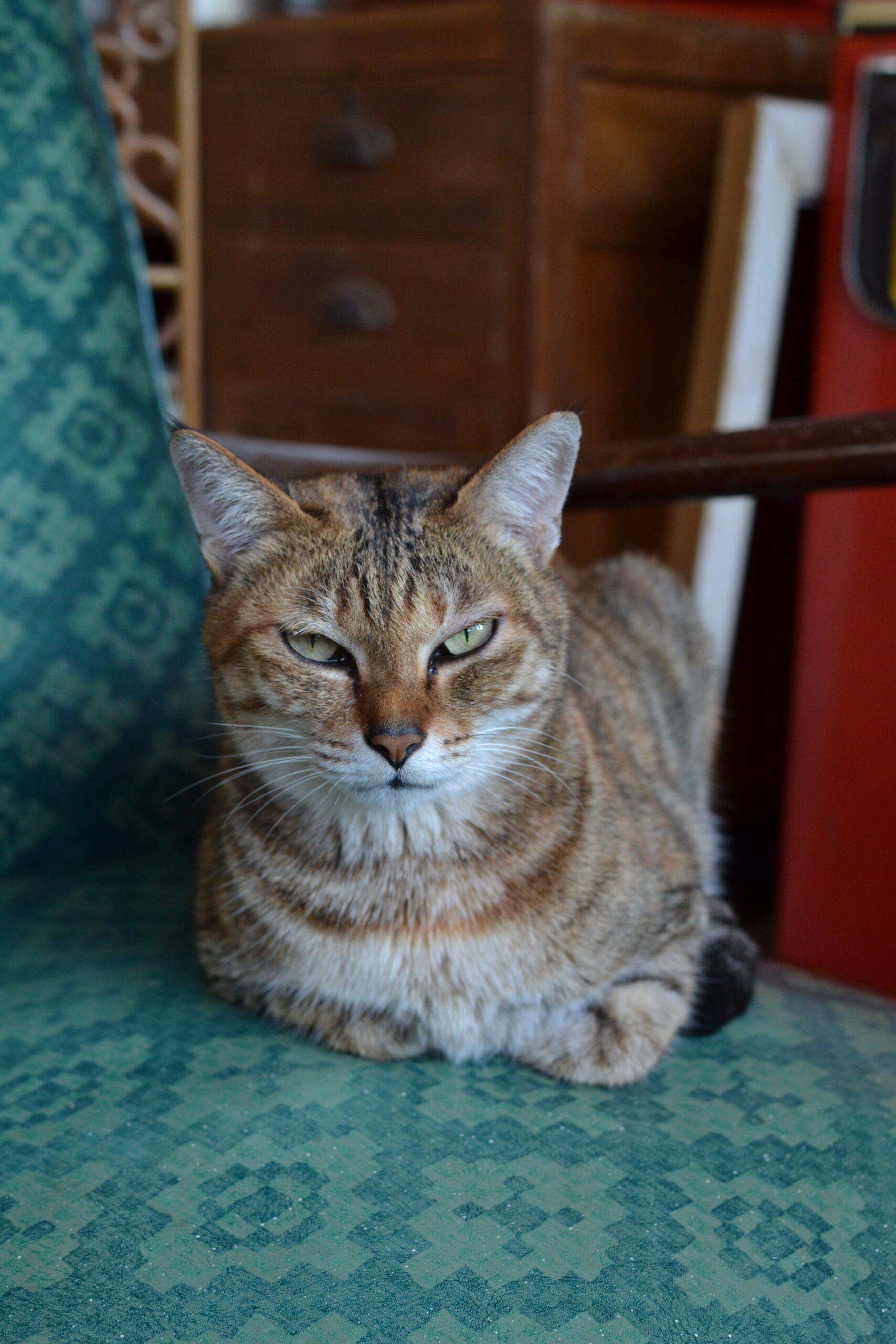 思考碎片｜雨夜、咖啡與夏目漱石：平凡日子的記憶拼圖